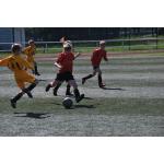 780x52014.ST Schmiedeberg-BSG  5.5.12  9Uhr (55).JPG
